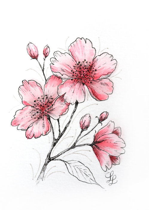 SAKURA Set Creativo Art Kit Flor de Cerezo (Pigma Micron 05, Gelly Roll, Koi coloring y 3 postales A6) SAKURA Set Creativo Art Kit Flor de Cerezo (Pigma Micron 05, Gelly Roll, Koi coloring y 3 postales A6)